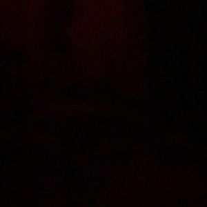 Meet your Posher, Chloe